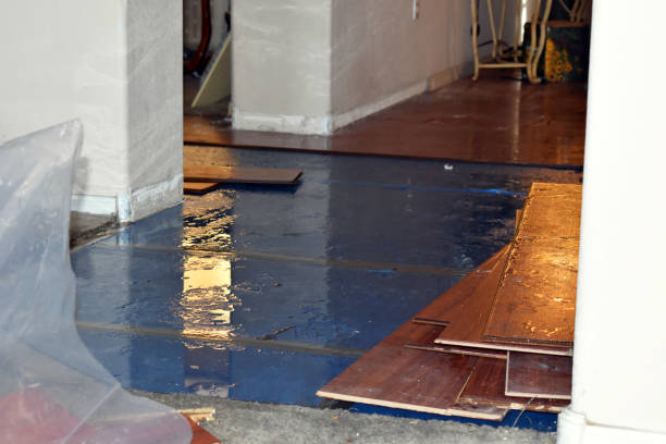 Professional Basement Flooding technician working in Carversville, PA